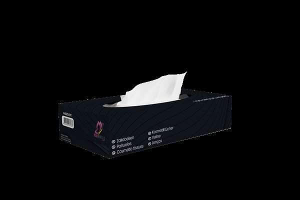 Image de Mouchoirs 21x21cm 2 plis-40 boites distributrices 100