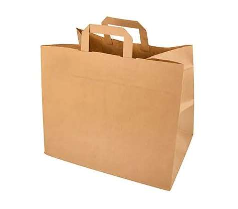 Image de Sac cabas-kraft brun 80gr/m² 26x20x28 carton 250