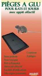 Image de PIEGES A GLU RAT/SOURIS avec appât - boite 2
